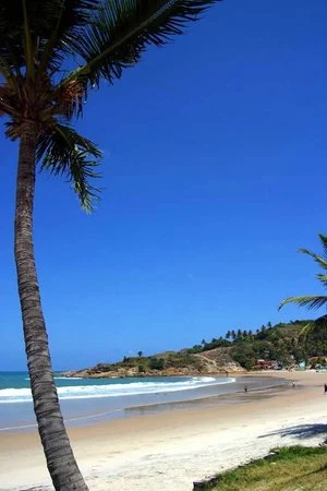 Praia de Gaibú com coqueiros